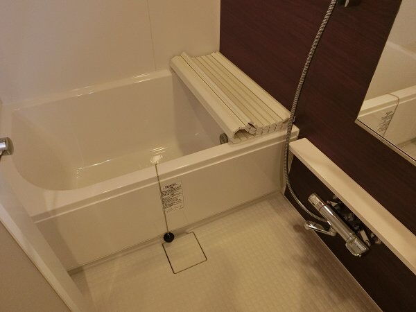 ズーム都立大学