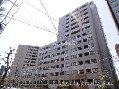 フリーディオ広尾南
