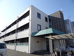 イーストタイガー