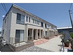 マリーゴールド