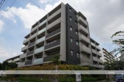 Ａｘｉａ　Ｃｏｕｒｔ