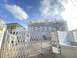 プランドール・タナカ