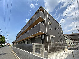 シャイングレイス