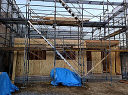 カゼッティーナ