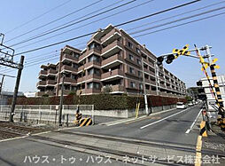 アンビシャス柏