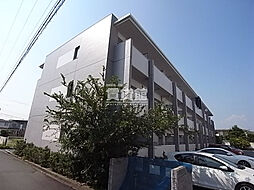 コージーコート