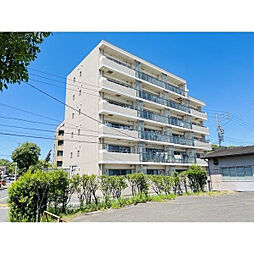 ヴェルドミールII