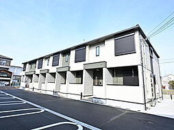 エレガンス　ハーモニー