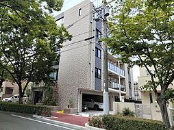 ゼルカヴァ芦屋