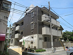 シダーテラス