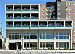 セクトールシオミ