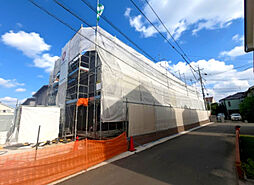 カミーノ コモド