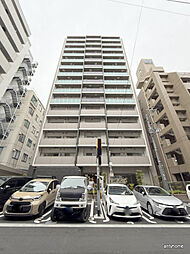 Cherry Blossom 五条通