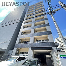 MAPLE ANEST SHINSAKAE