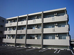 ユーミーなでしこII