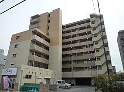 エヴァーグリーン新羽