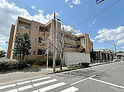 Ｌｅ．ｓｅｎａ　Ｄｅｎａｌｉ