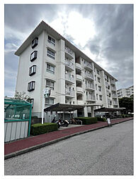 志木ニュータウン中央の森参番街2号棟