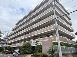 アイディーコート錦