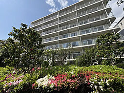 コープ野村大森