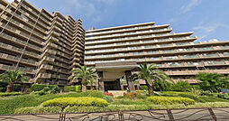 アイランドグレース