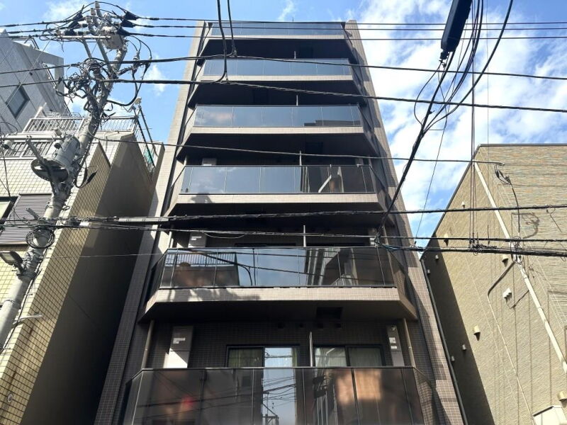 クレイシア菊川