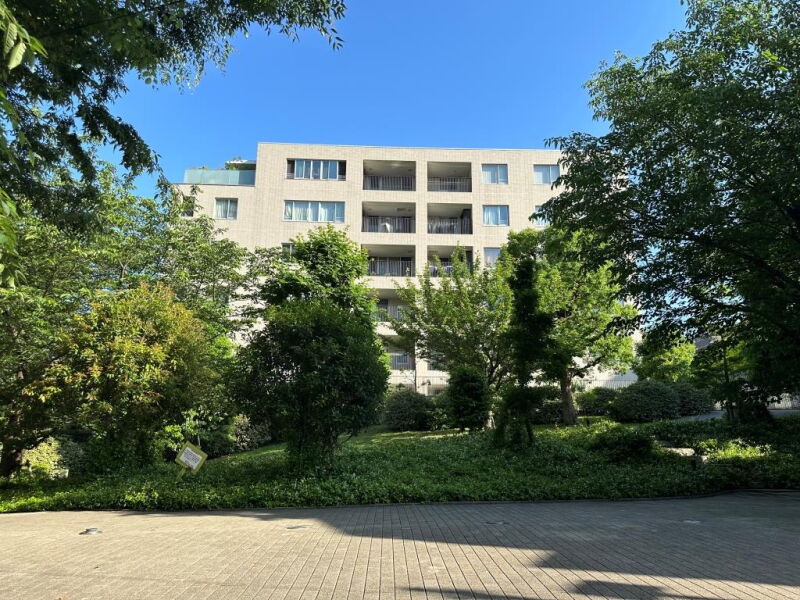 センチュリーフォレスト