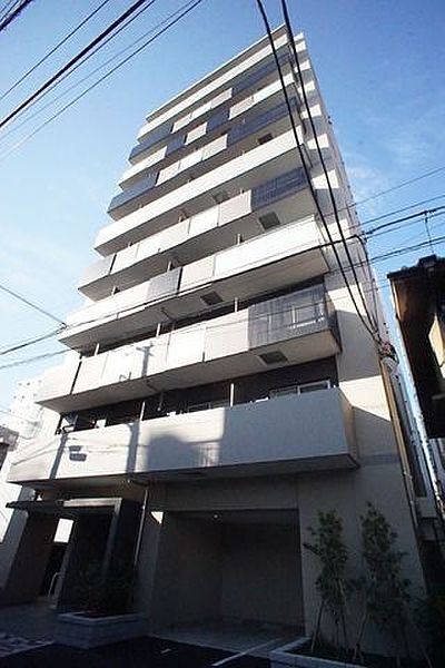 ミュールソレアード