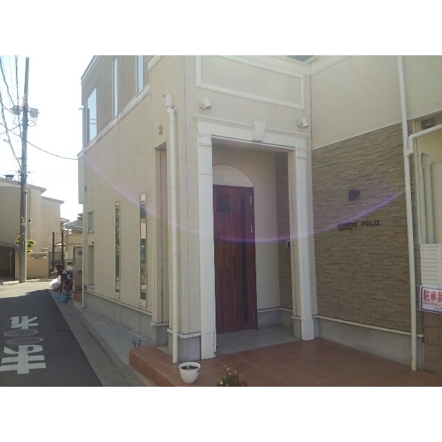 コルテフェリス