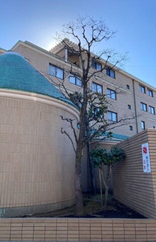 オリエントロイヤルハウス経堂