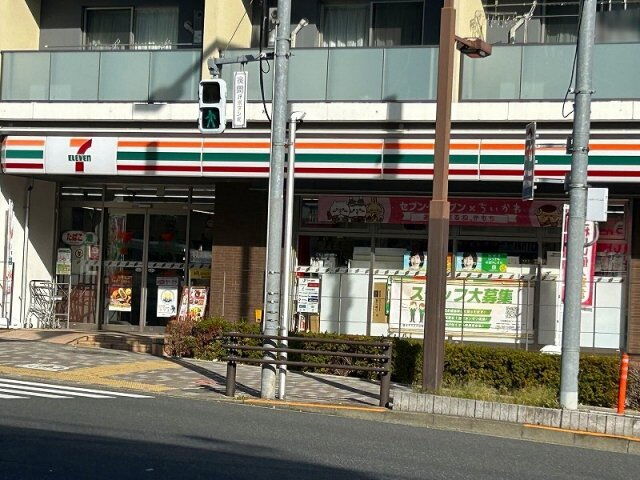 レオネクストカサ　フェリス