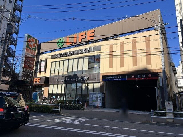 レオネクストカサ　フェリス