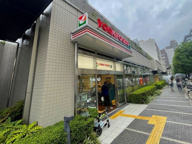 レオネクストカサ　フェリス