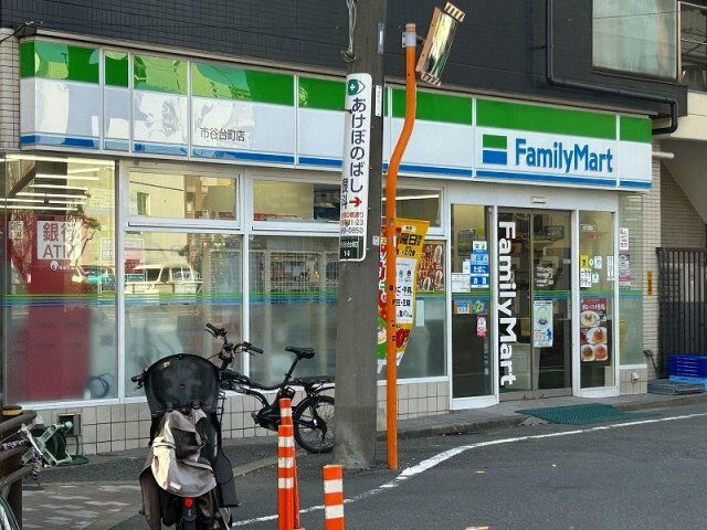 レオネクストカサ　フェリス