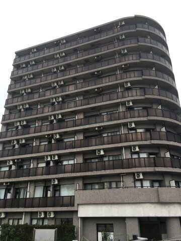 リバー・デイズ綱島