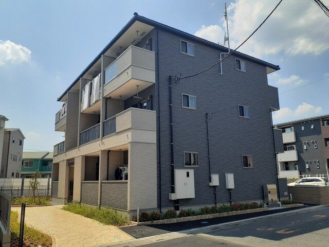 ファーストスプリング