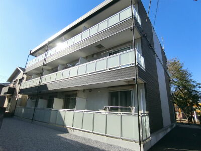 リブリ・ステラ