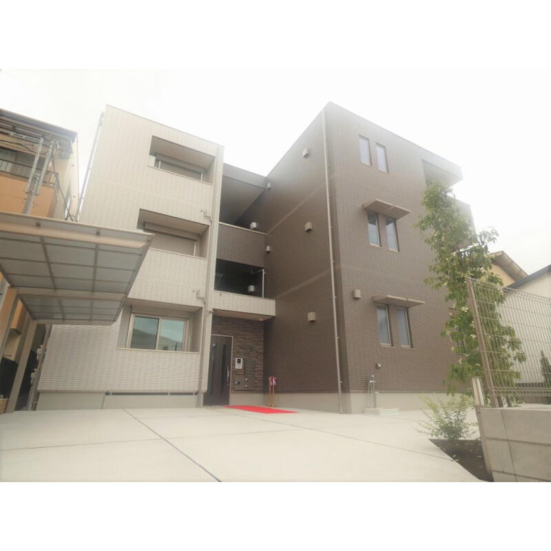 Ｂｅｌｌ　Ｇｒａｃｉａ