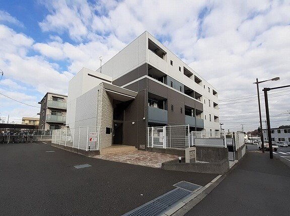 アングロ　フェリーチェ