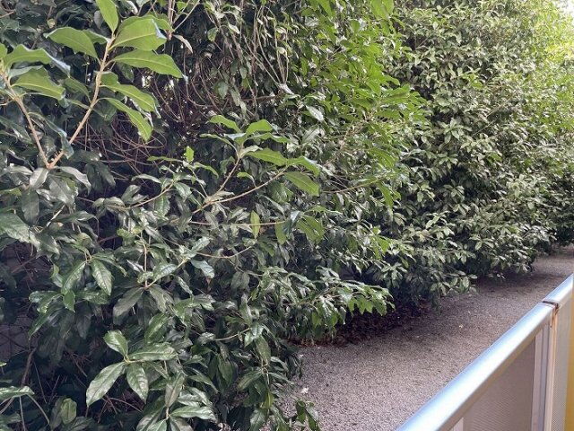 レオパレス豊南