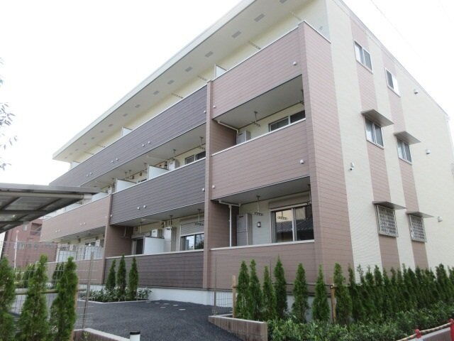 ロイヤル　サトックス