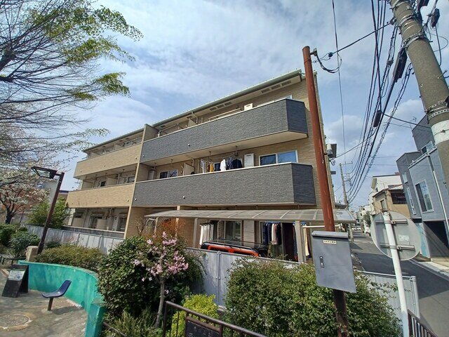 ルジーナ　ベルデ