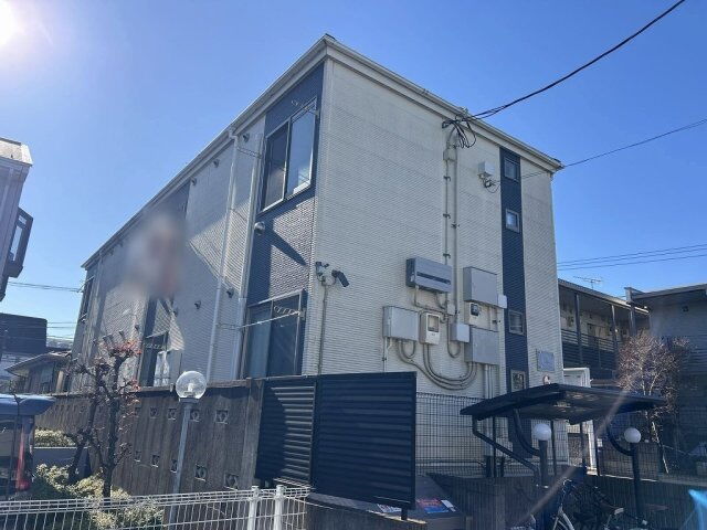レオネクストハックベリー