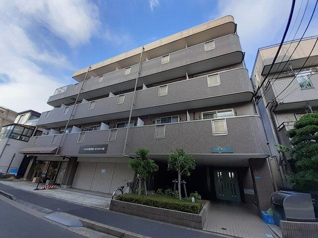 グリーン　ソイビーンズ