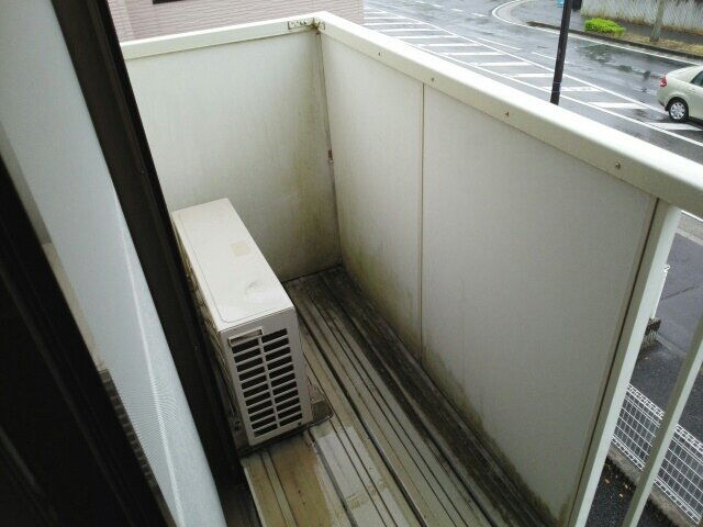 ドルフィン２１