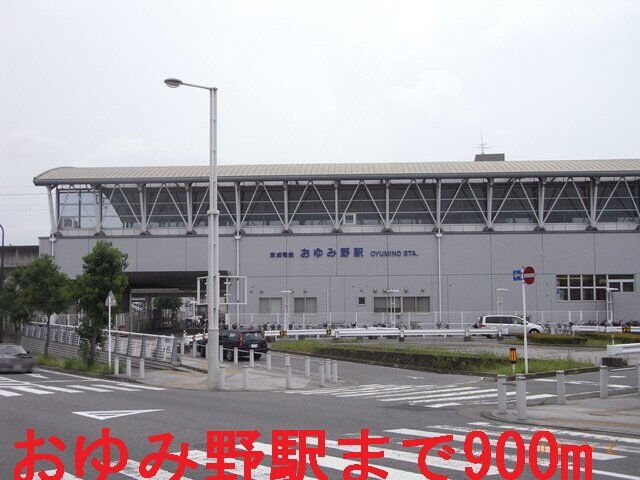 ドルフィン２１