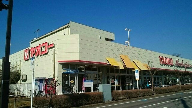 ドルフィン２１