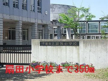 ドルフィン２１