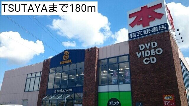 ドルフィン２１