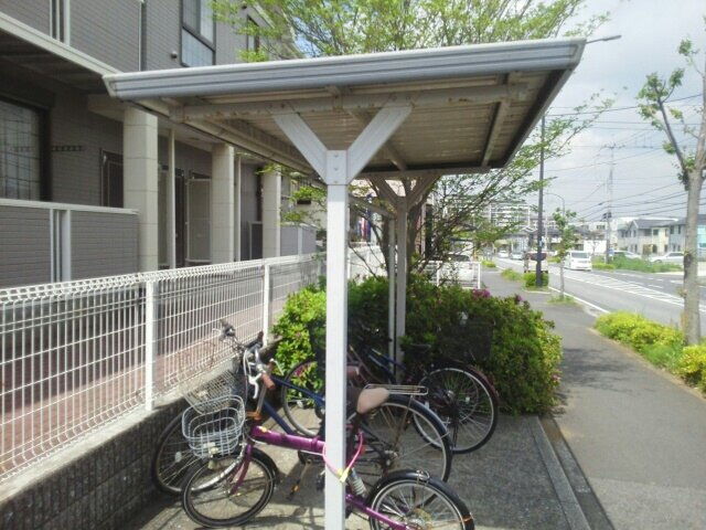 ドルフィン２１